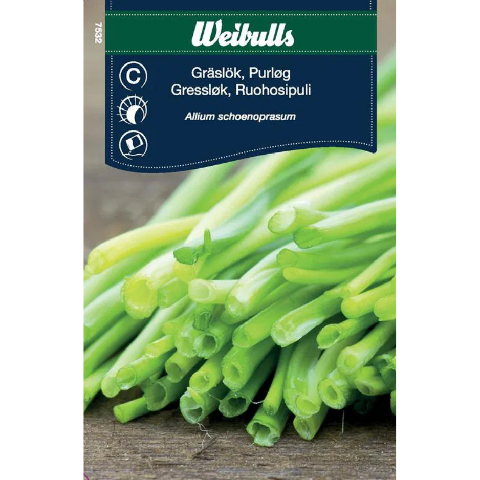 Weibulls Gräslök