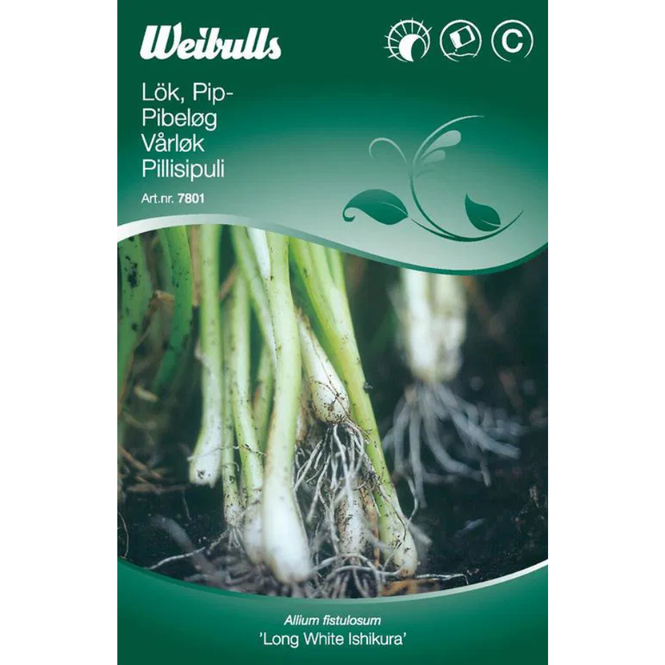 Weibulls Lök, vår-/pip- Long White Ishikura