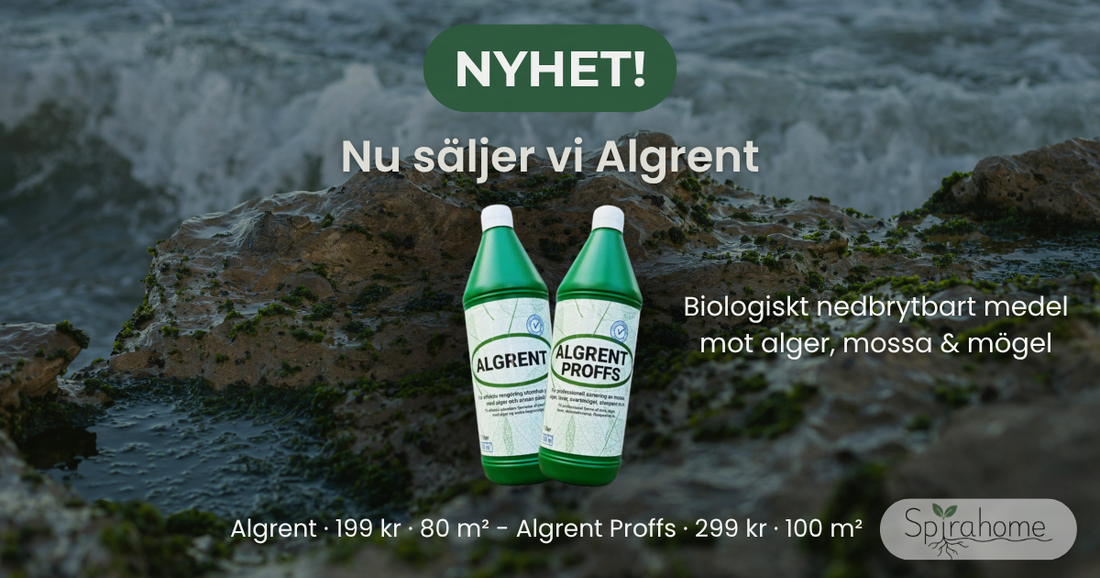 Nyhet: Nu säljer vi Algrent - mot alger, mossa och mögel