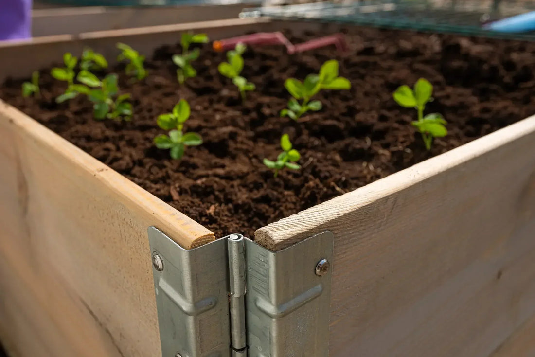 Kom igång: odla i pallkrage steg för steg