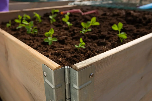 Kom igång: odla i pallkrage steg för steg