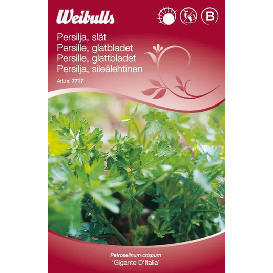 Weibulls Persilja, slätbladig Gigante d`Italia