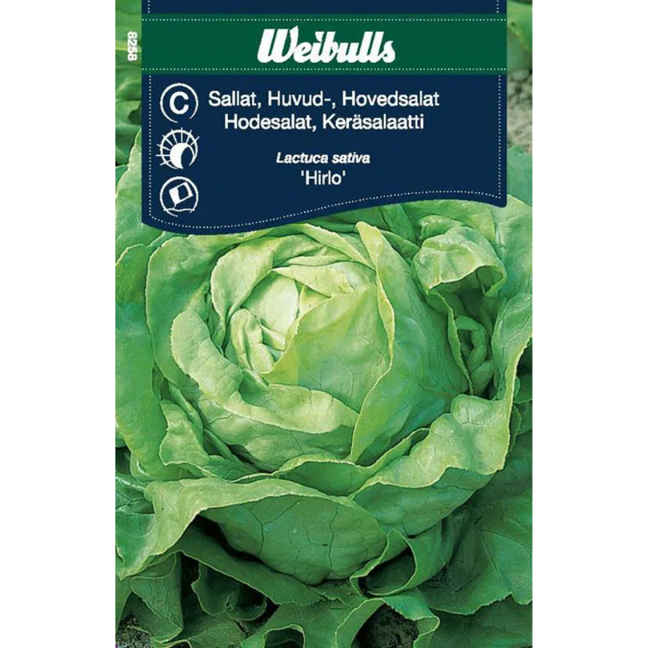Weibulls Sallat, huvud- Hilde II