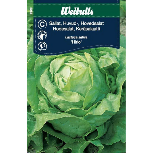 Weibulls Sallat, huvud- Hilde II